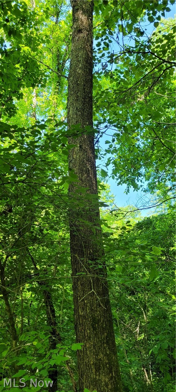 Hollis Clark Road Caldwell OH 43724