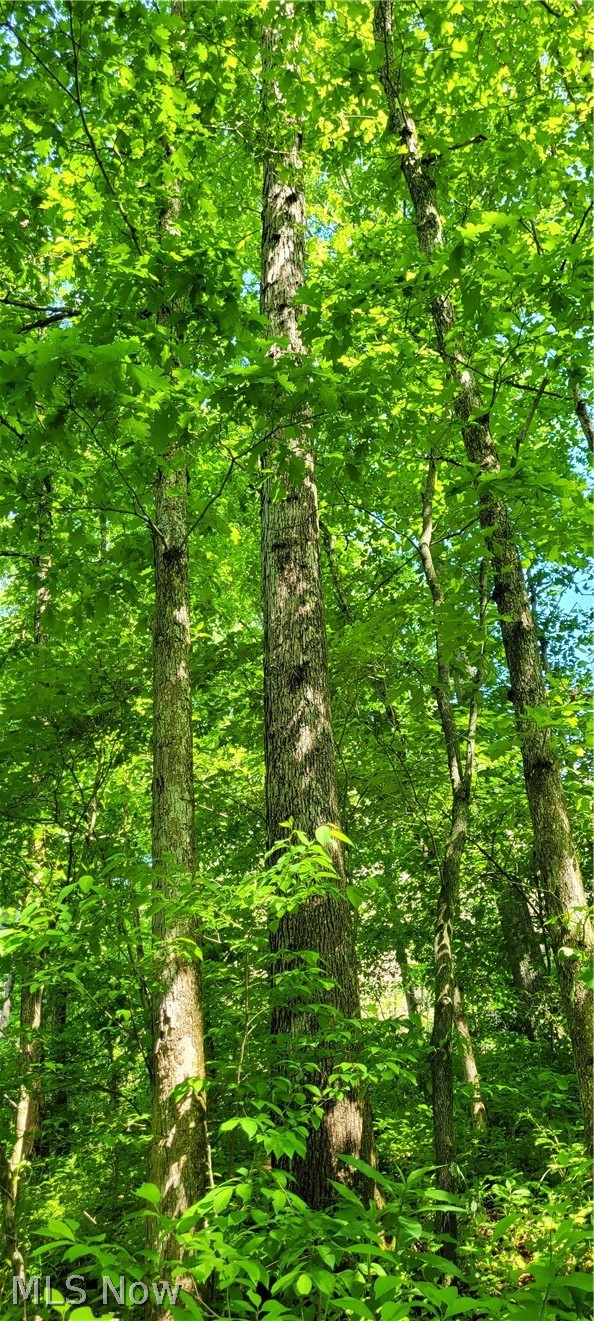 Hollis Clark Road Caldwell OH 43724