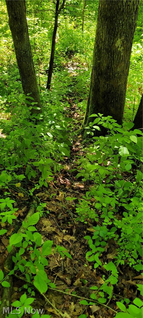 Hollis Clark Road Caldwell OH 43724