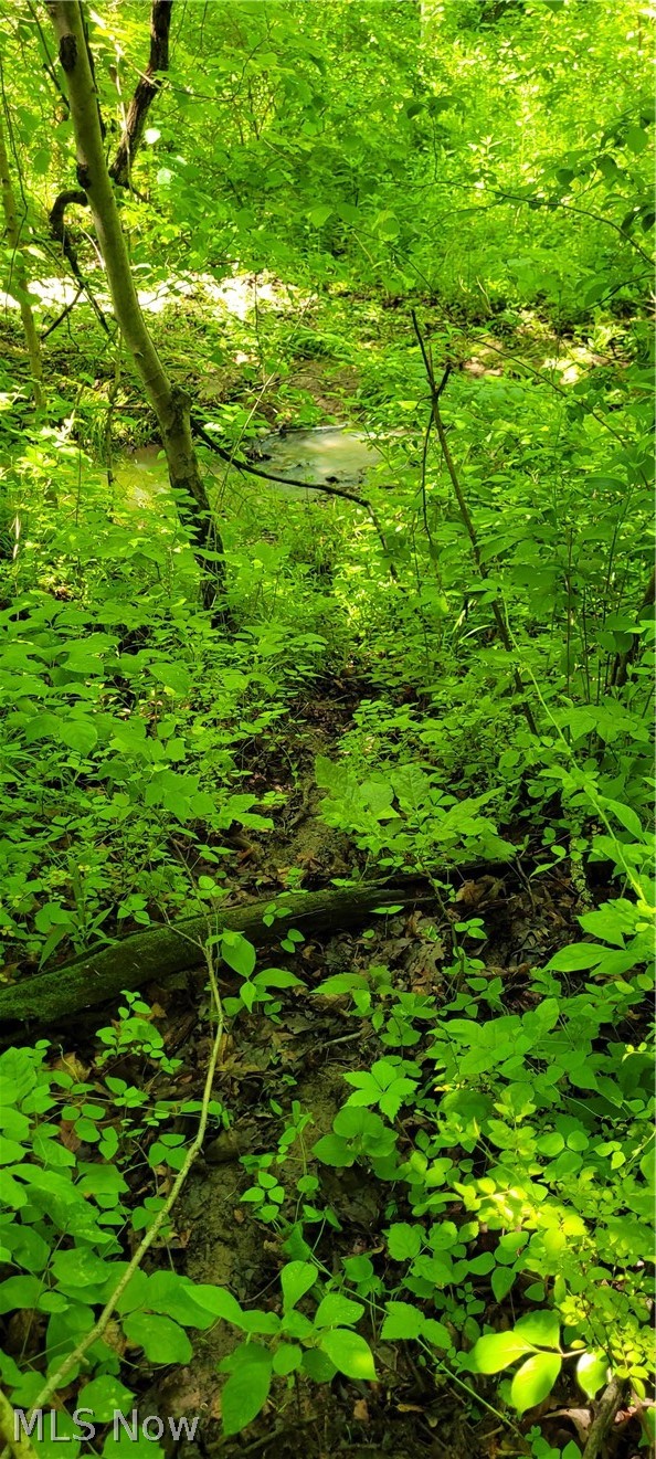 Hollis Clark Road Caldwell OH 43724