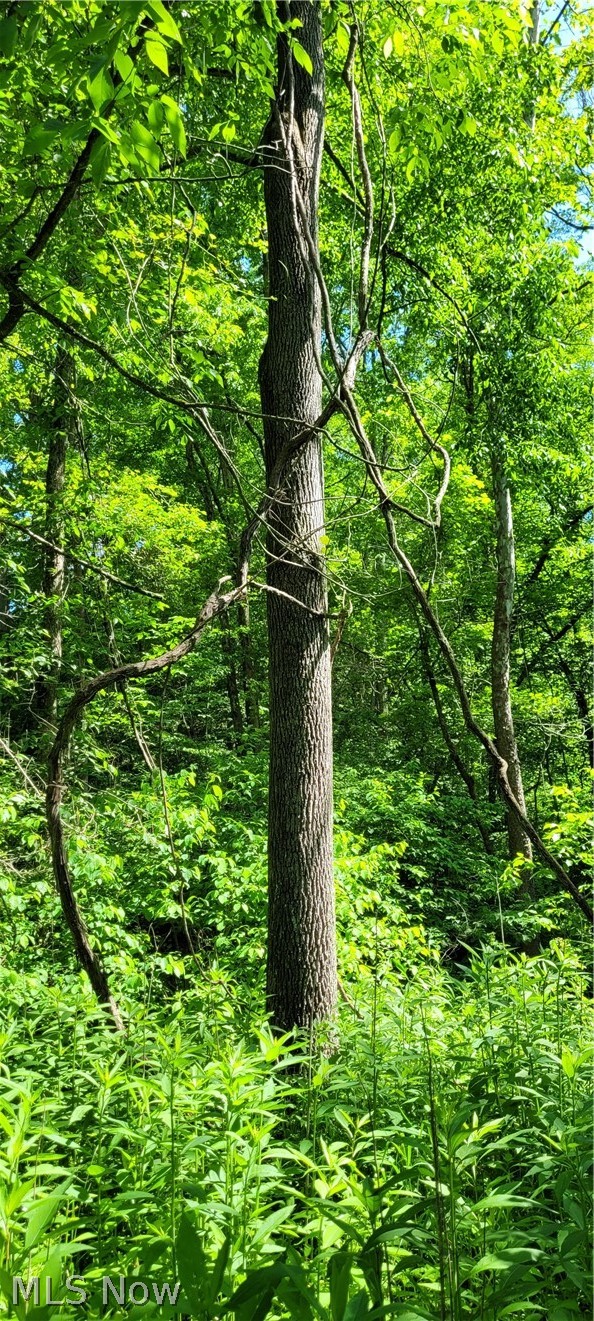 Hollis Clark Road Caldwell OH 43724