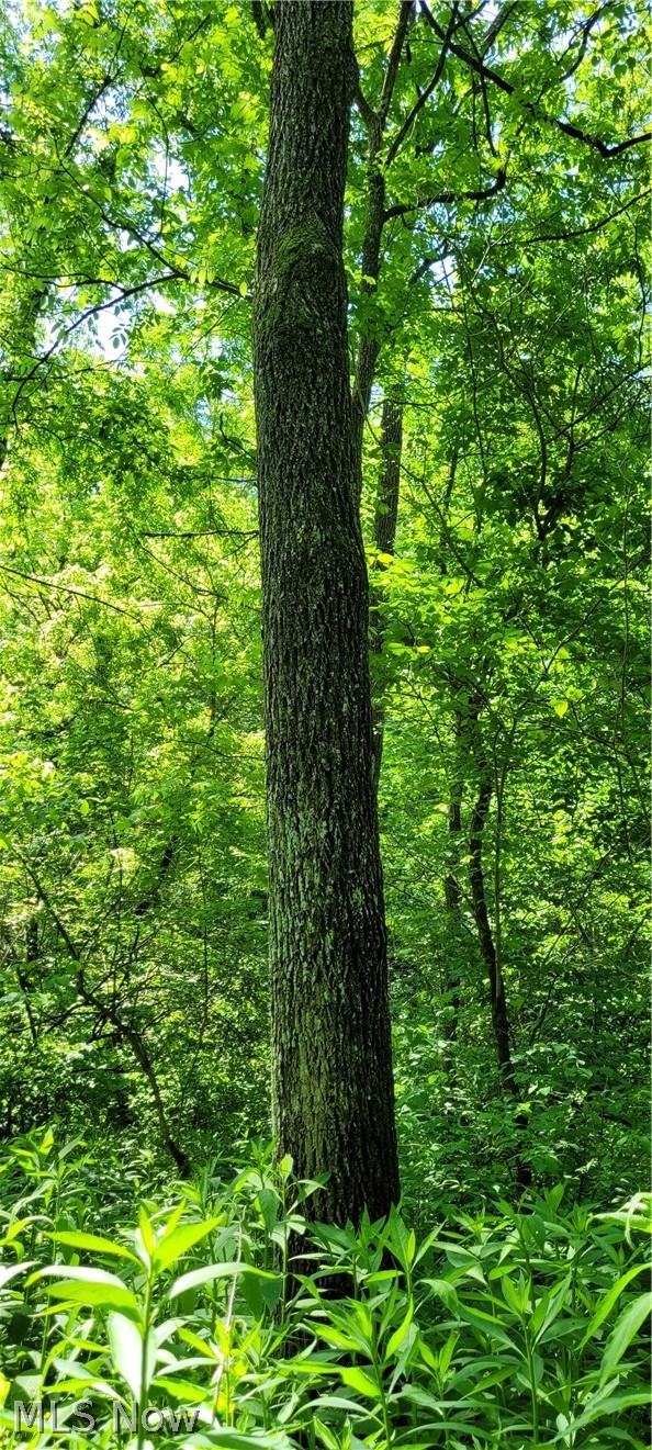 Hollis Clark Road Caldwell OH 43724