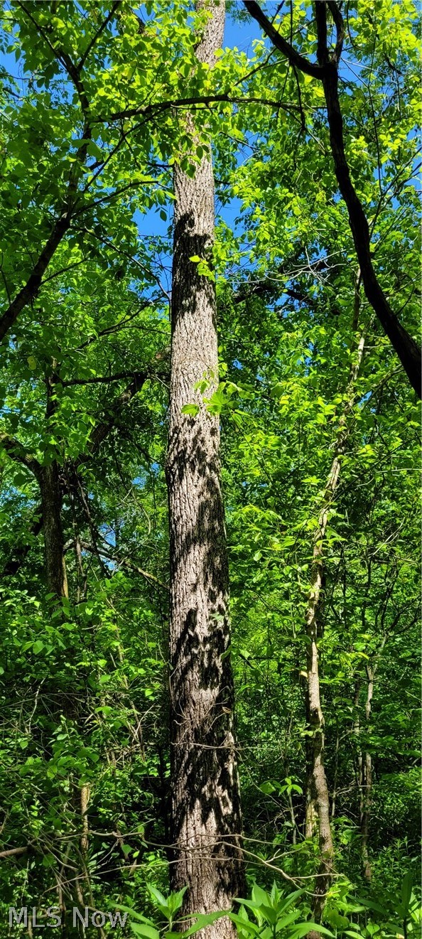 Hollis Clark Road Caldwell OH 43724