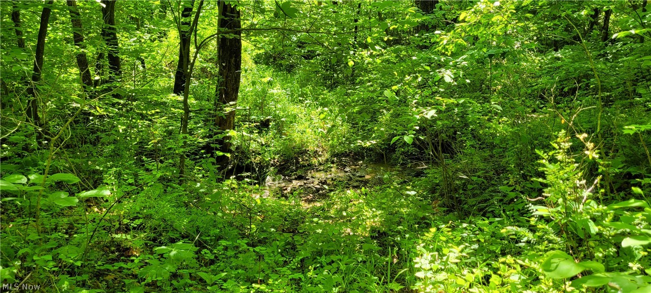 Hollis Clark Road Caldwell OH 43724