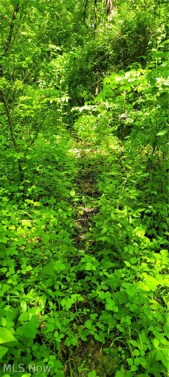 Hollis Clark Road Caldwell OH 43724