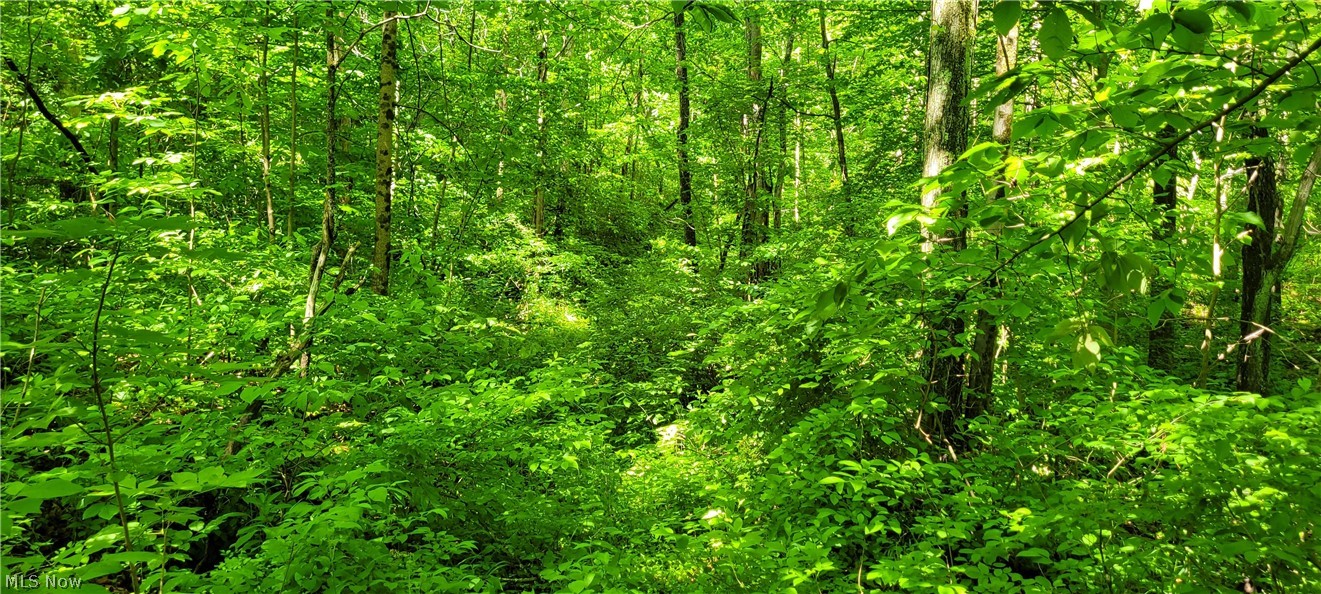 Hollis Clark Road Caldwell OH 43724