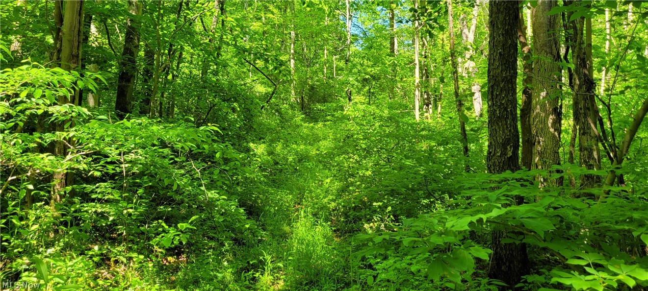 Hollis Clark Road Caldwell OH 43724