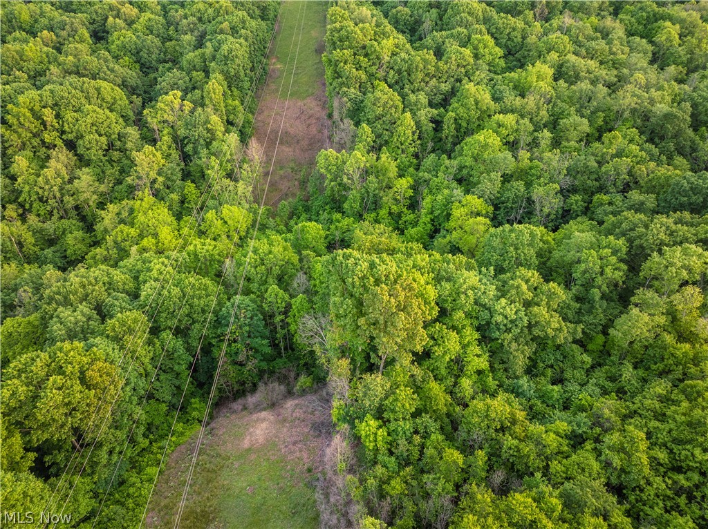 Hollis Clark Road Caldwell OH 43724