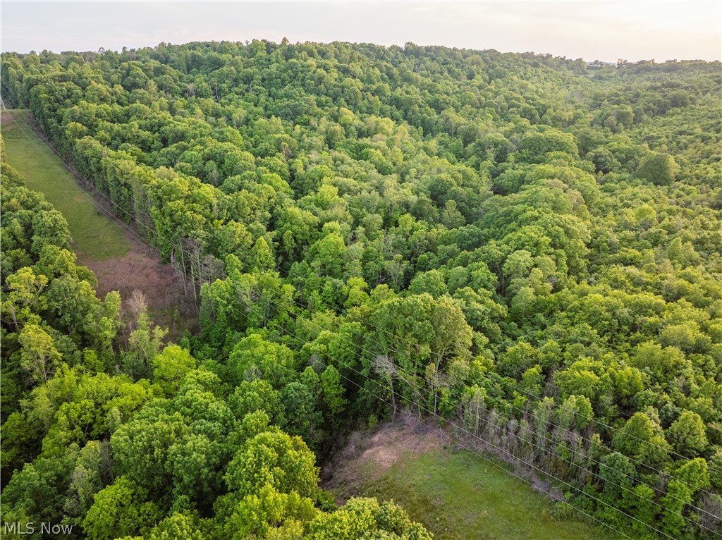 Hollis Clark Road Caldwell OH 43724