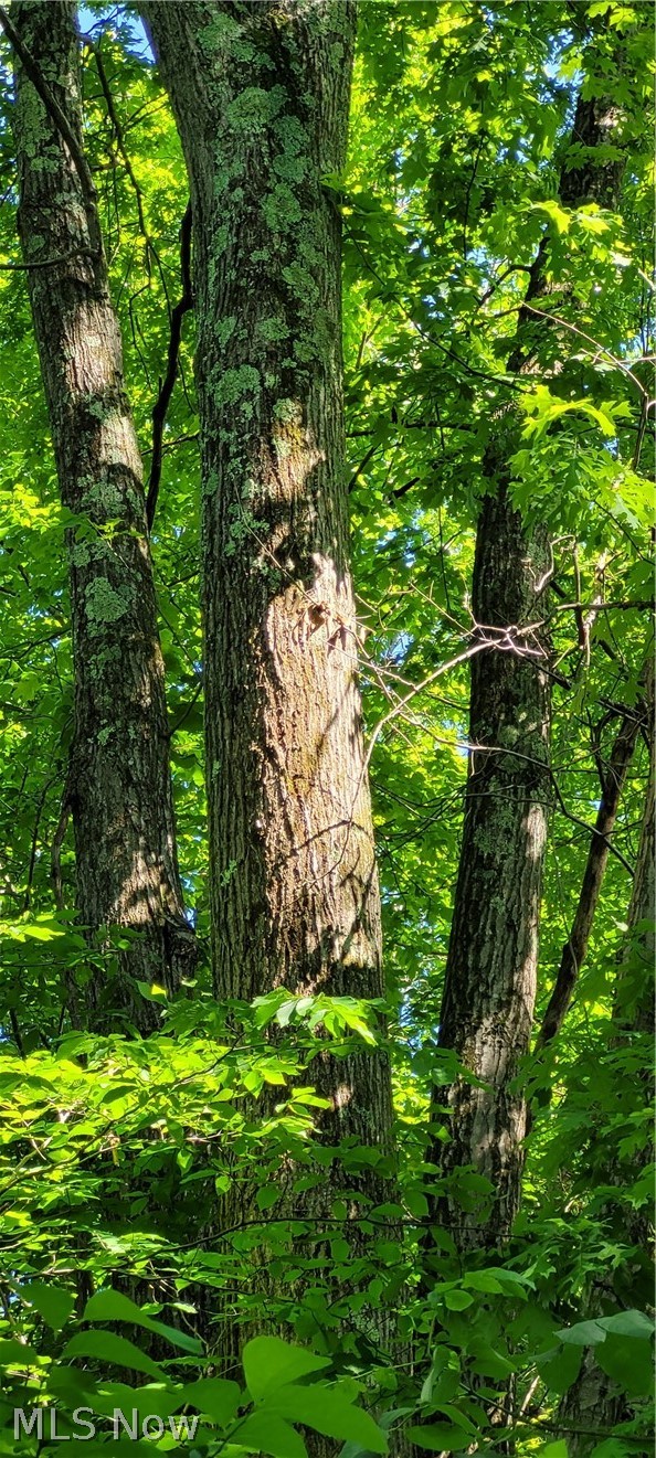 Hollis Clark Road Caldwell OH 43724