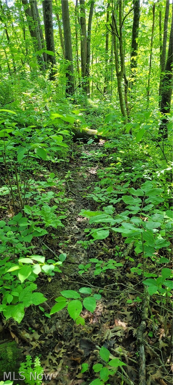 Hollis Clark Road Caldwell OH 43724