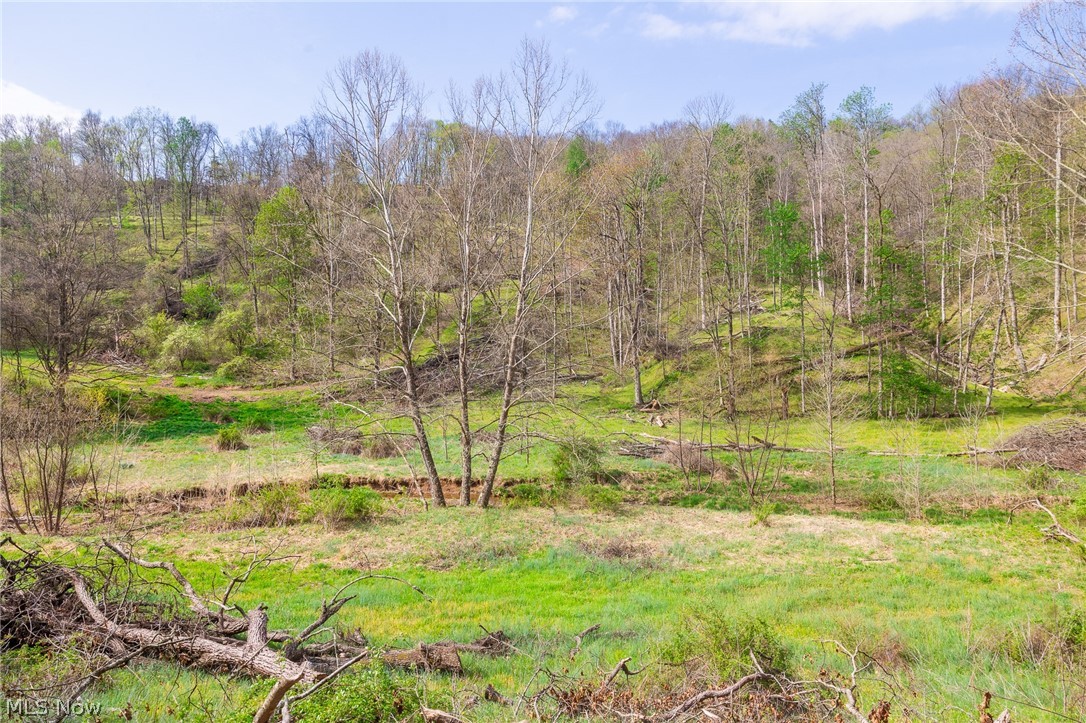 0 Twp Rd 63 Deans Fork Whipple OH 45788