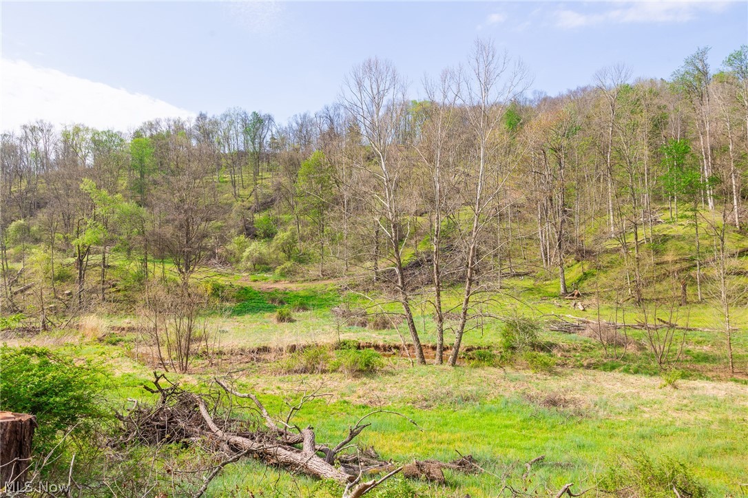 0 Twp Rd 63 Deans Fork Whipple OH 45788