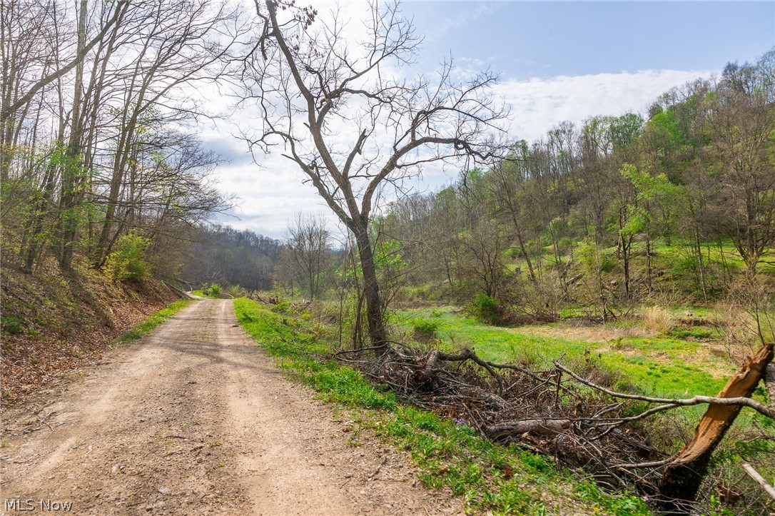 0 Twp Rd 63 Deans Fork Whipple OH 45788
