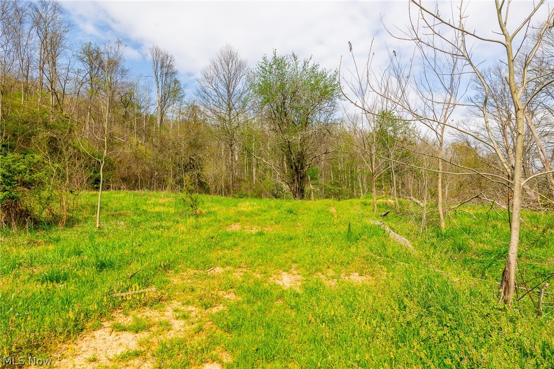 0 Twp Rd 63 Deans Fork Whipple OH 45788