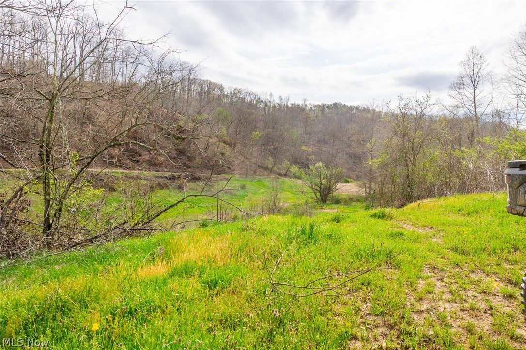 0 Twp Rd 63 Deans Fork Whipple OH 45788