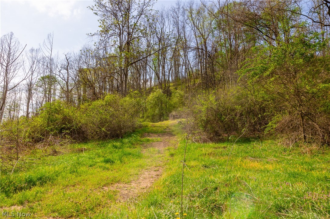 0 Twp Rd 63 Deans Fork Whipple OH 45788