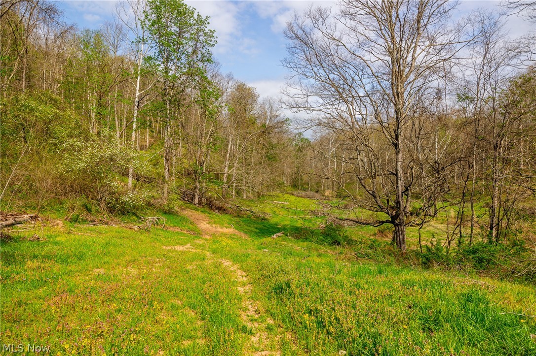 0 Twp Rd 63 Deans Fork Whipple OH 45788