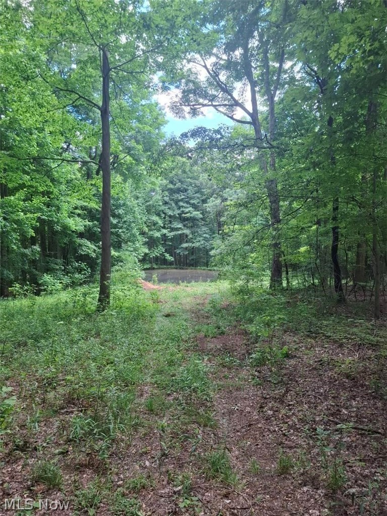 10381 Mulberry Road Chardon OH 44024