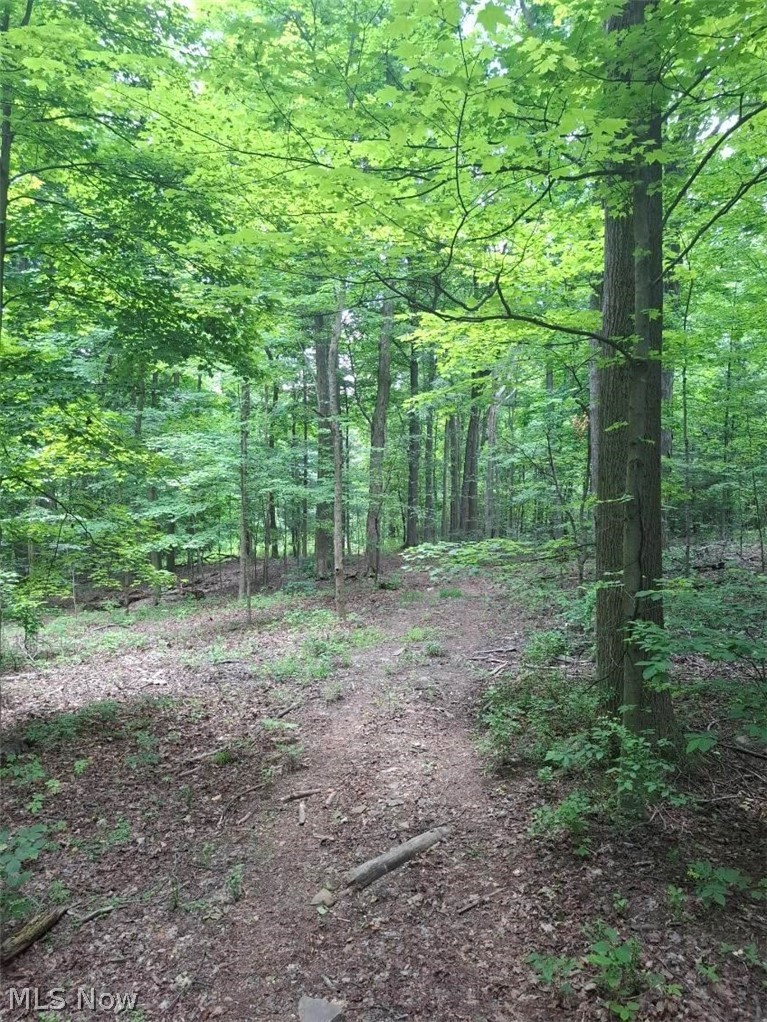 10381 Mulberry Road Chardon OH 44024