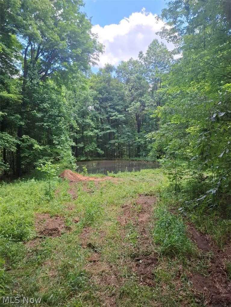 10381 Mulberry Road Chardon OH 44024
