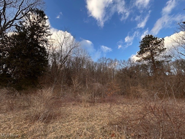 2021 Akron Peninsula Road Cuyahoga Falls OH 44313