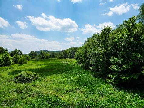 1633 State Route 60 Millersburg OH 44654