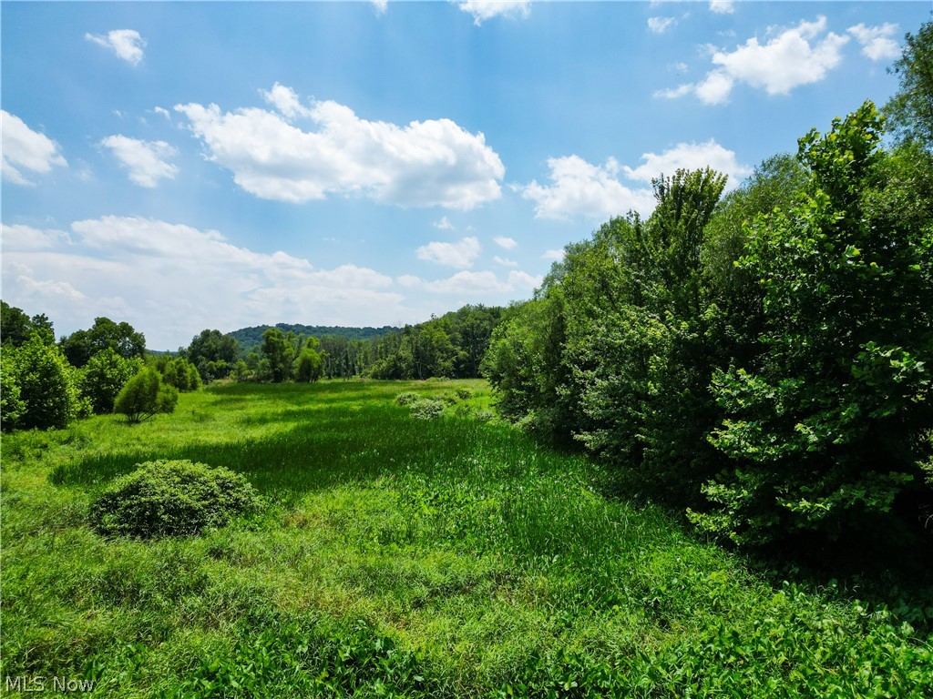 1633 State Route 60 Millersburg OH 44654