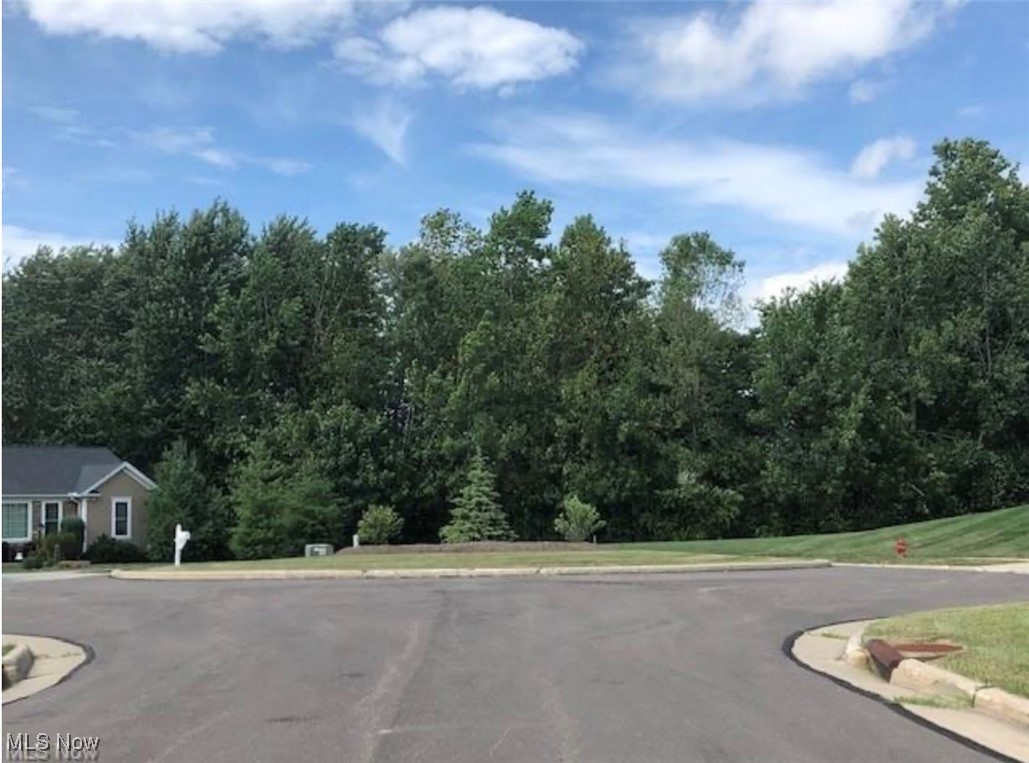 1612 Mids Court Streetsboro OH 44241