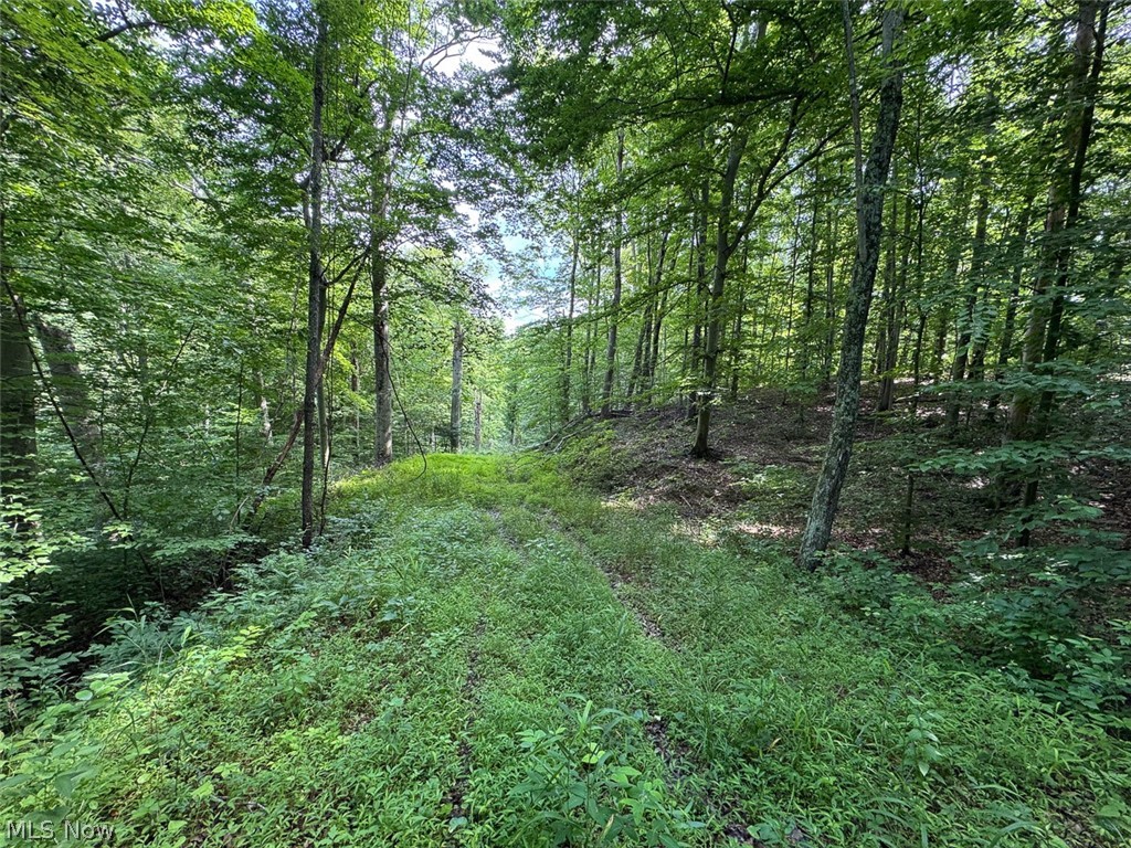 Township Road 289 Corning OH 43730