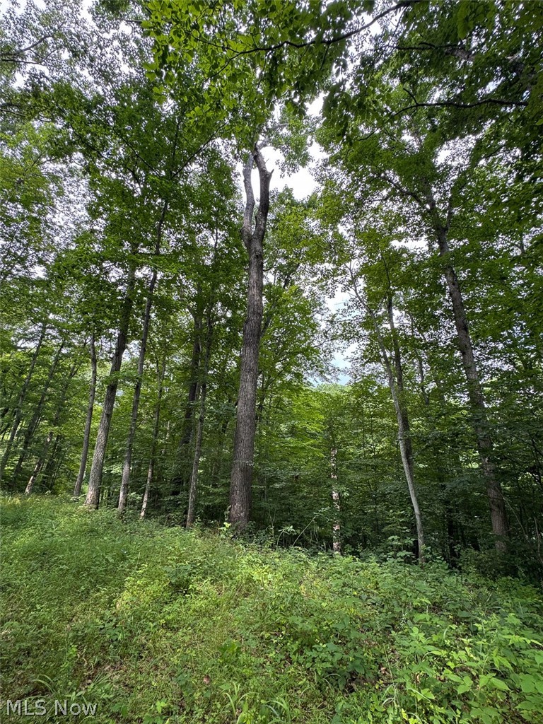 Township Road 289 Corning OH 43730