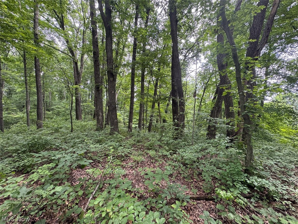 Township Road 289 Corning OH 43730