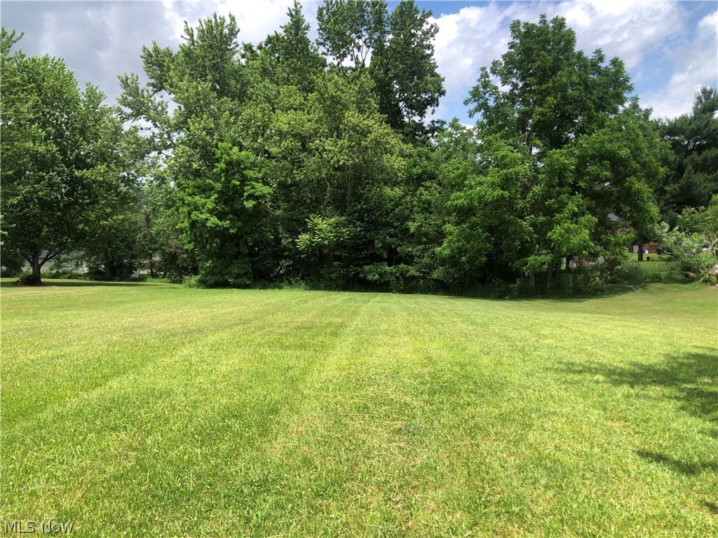 Lillian Street SW Canton OH 44706