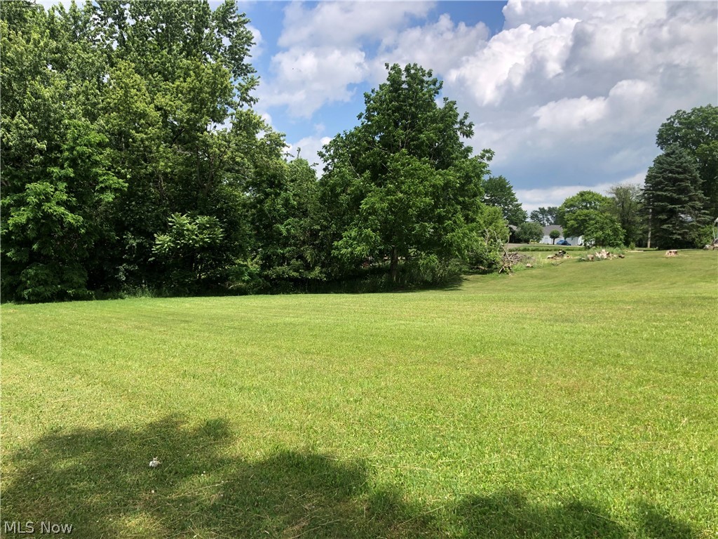 Lillian Street SW Canton OH 44706