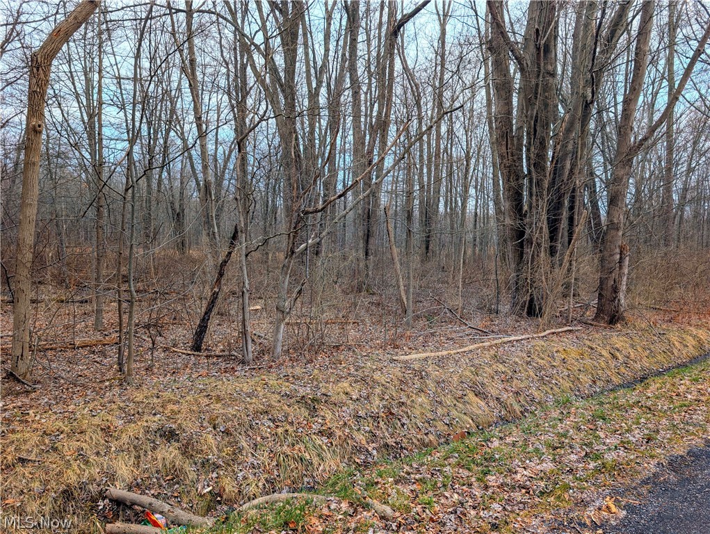 Magnolia Drive Madison OH 44057