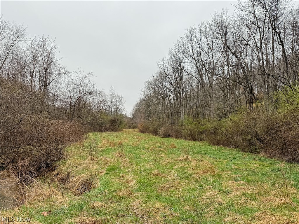 Buck Hill Road Frazeysburg OH 43822