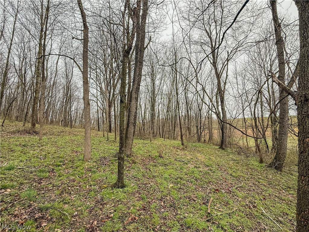 Buck Hill Road Frazeysburg OH 43822