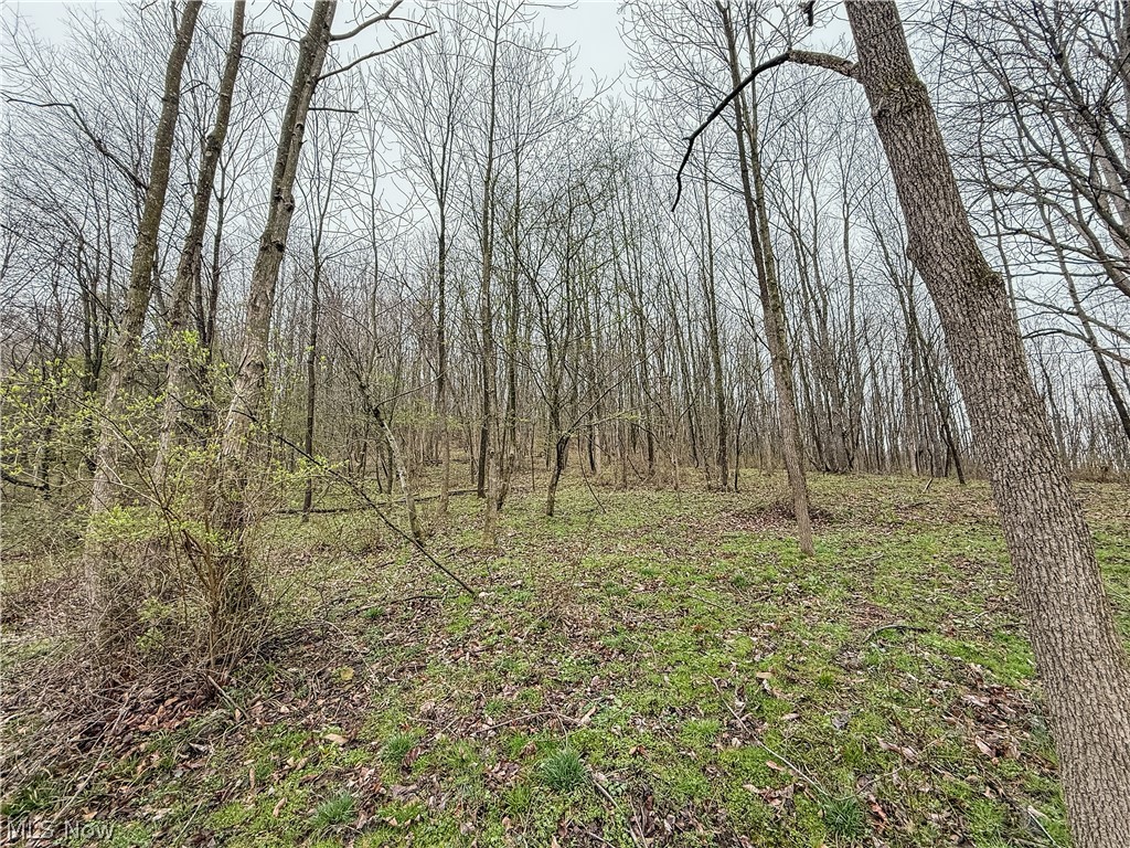 Buck Hill Road Frazeysburg OH 43822