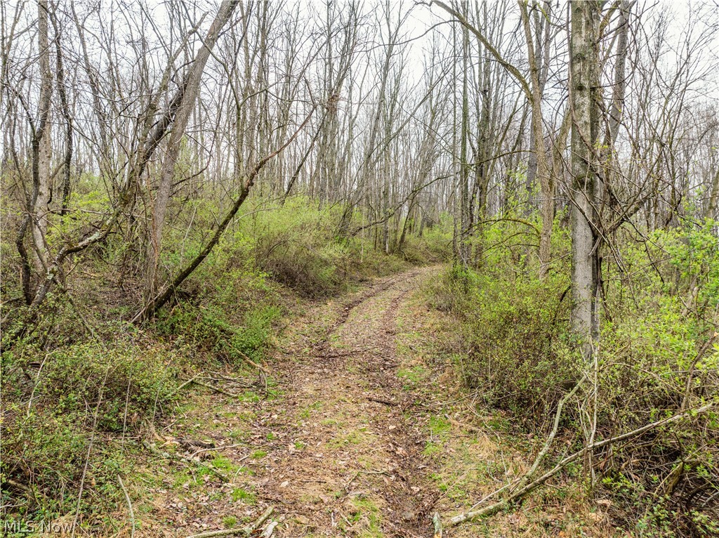 Buck Hill Road Frazeysburg OH 43822