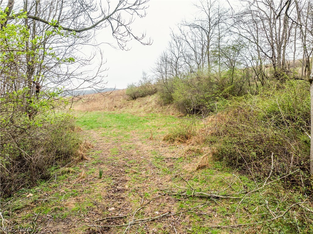 Buck Hill Road Frazeysburg OH 43822
