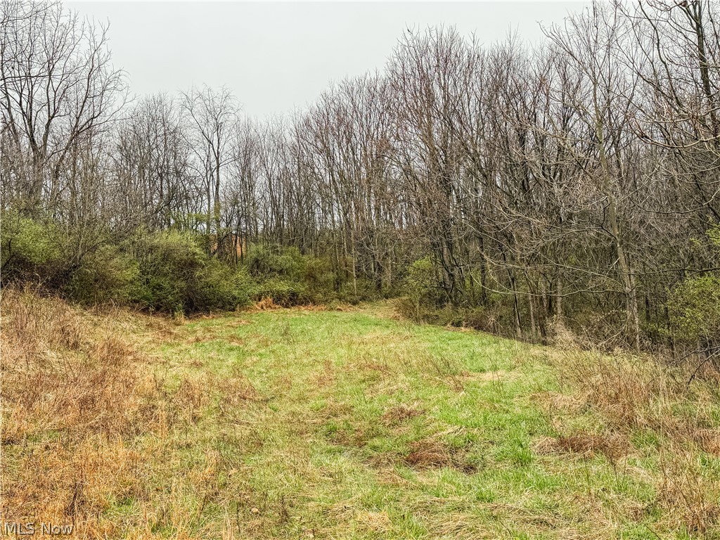Buck Hill Road Frazeysburg OH 43822