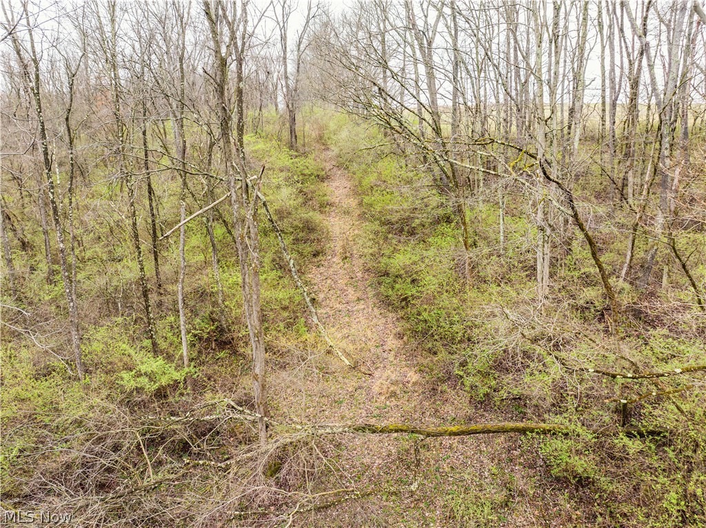 Buck Hill Road Frazeysburg OH 43822