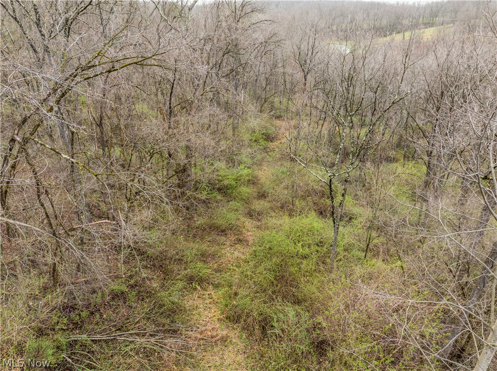 Buck Hill Road Frazeysburg OH 43822