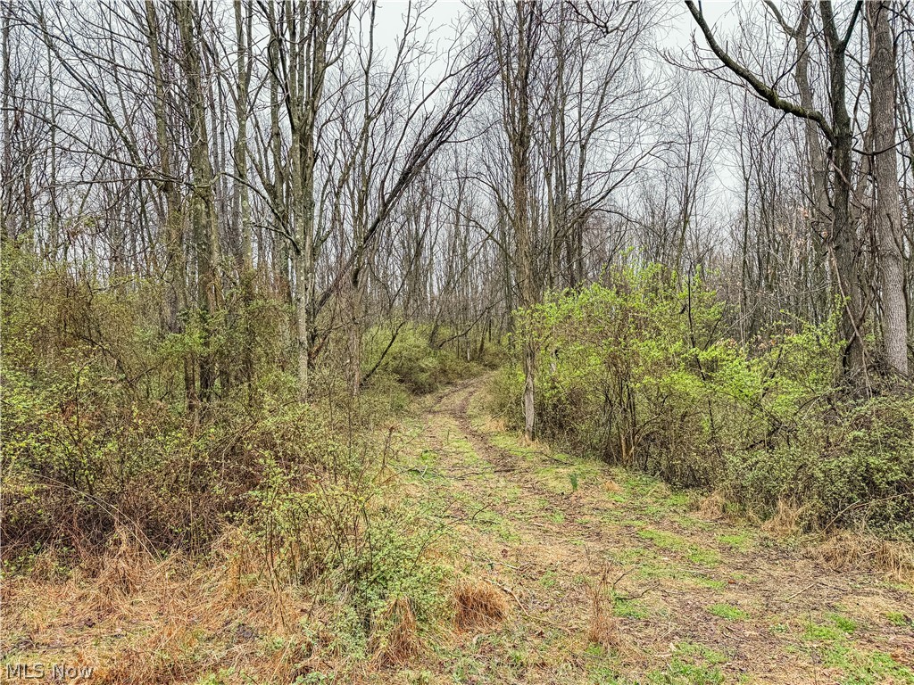 Buck Hill Road Frazeysburg OH 43822