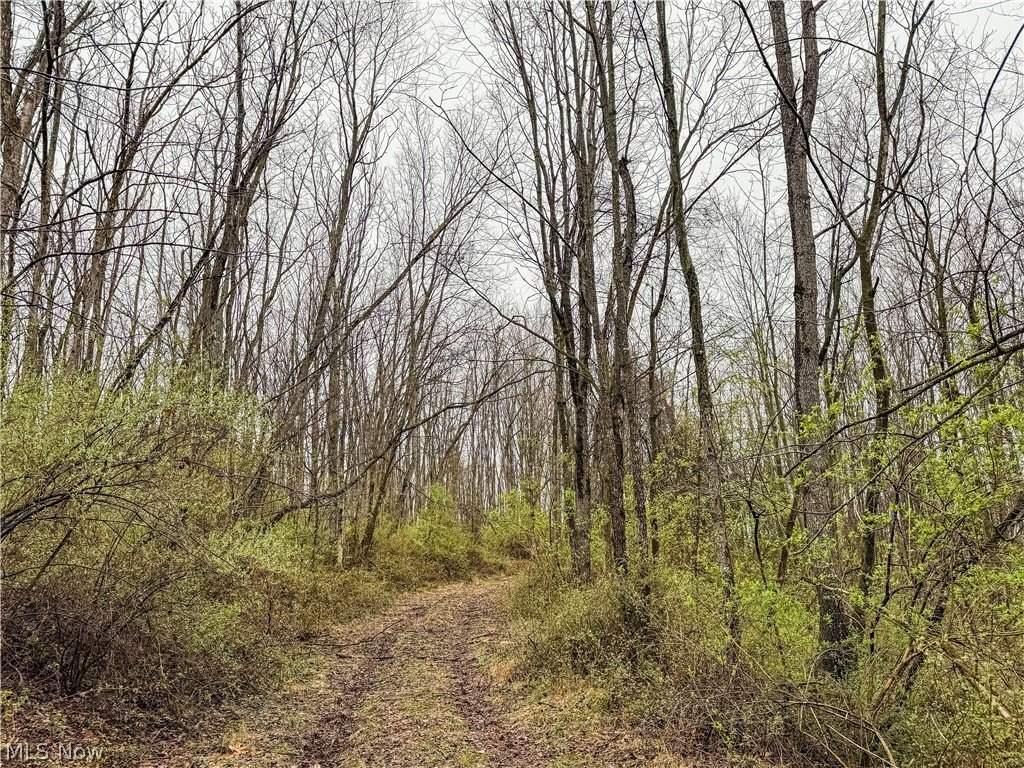 Buck Hill Road Frazeysburg OH 43822