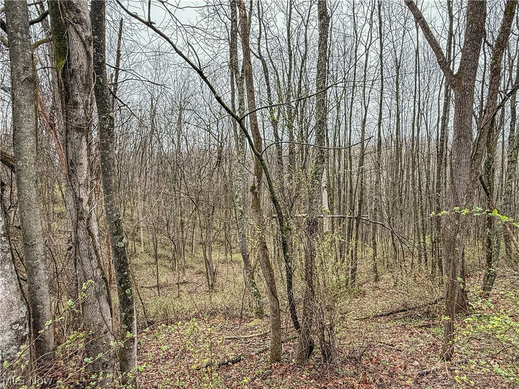 Buck Hill Road Frazeysburg OH 43822