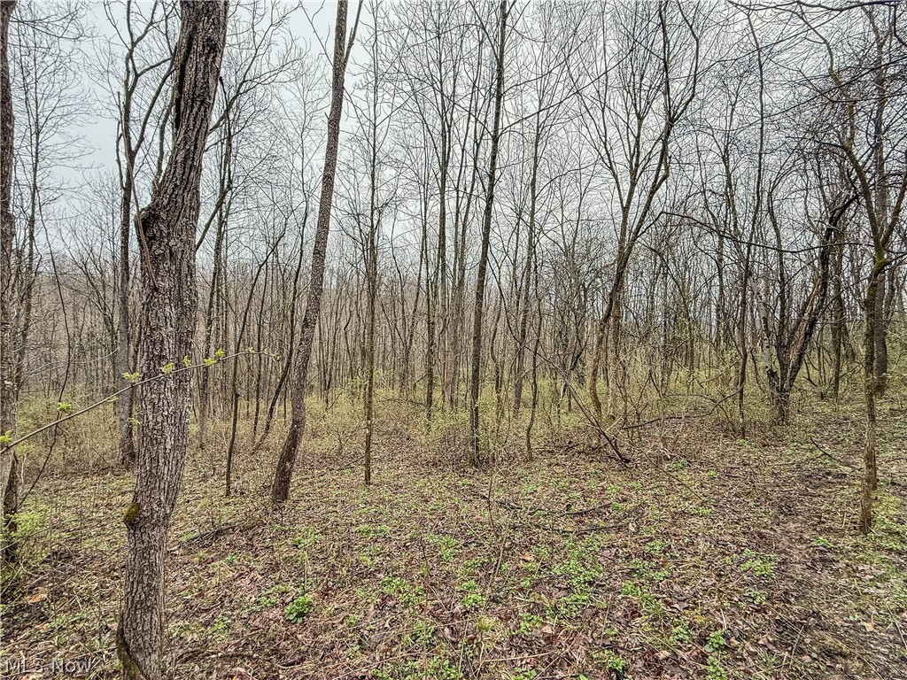 Buck Hill Road Frazeysburg OH 43822