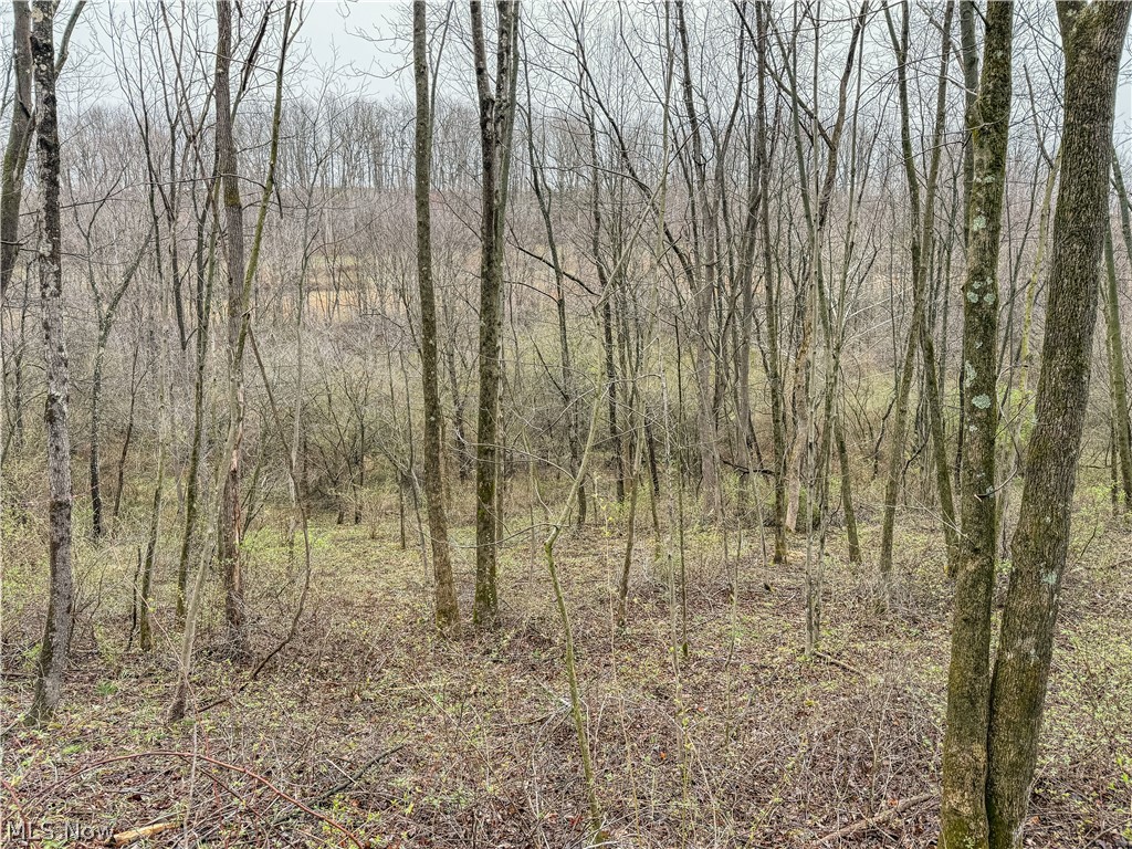 Buck Hill Road Frazeysburg OH 43822