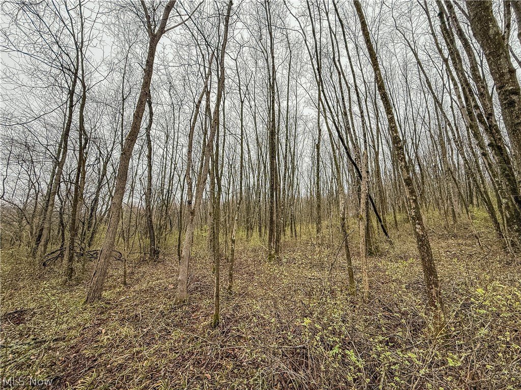 Buck Hill Road Frazeysburg OH 43822