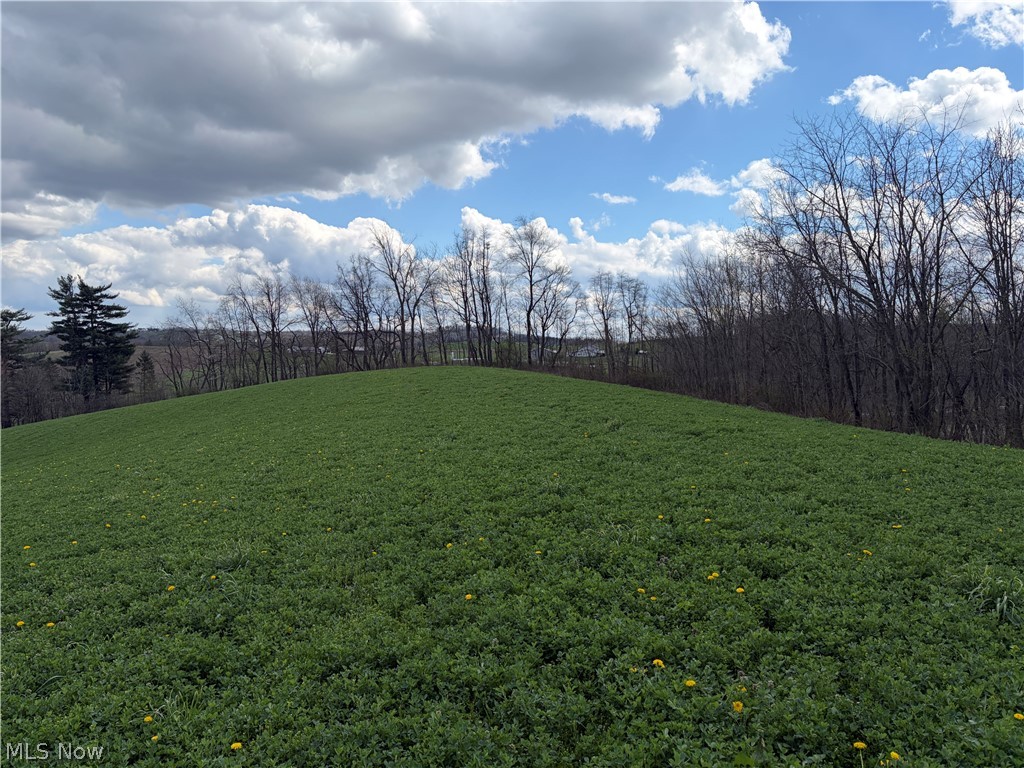 Township Road 177 Baltic OH 43804